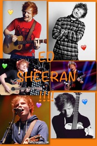 Collage