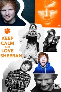 Collage