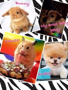 Collage