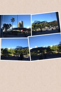 Collage
