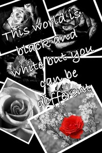 Collage