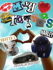 Collage