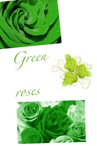 Collage