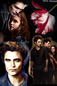 Collage