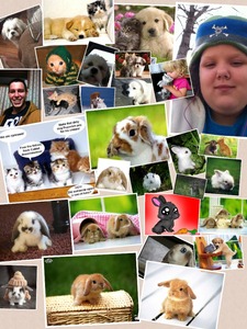 Collage