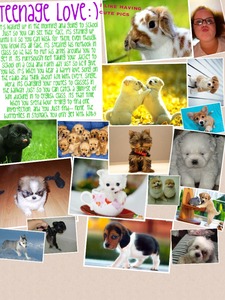 Collage