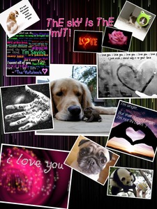 Collage