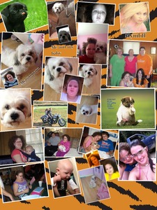 Collage