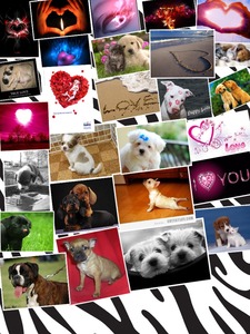 Collage