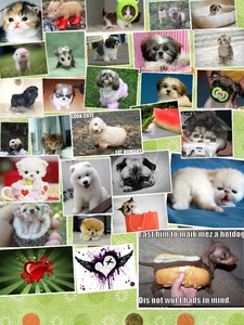 Collage