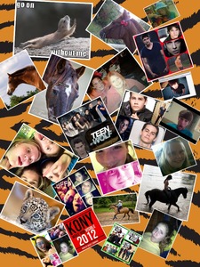 Collage