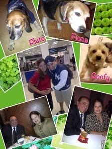 Collage