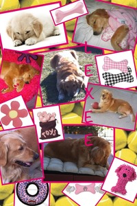 Collage
