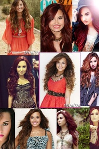Collage