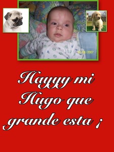 Collage