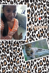 Collage
