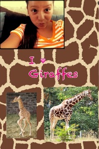 Collage