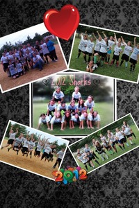 Collage