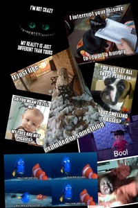 Collage