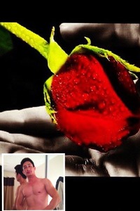 Collage