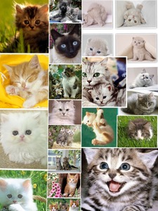 Collage