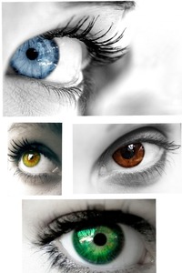 Collage
