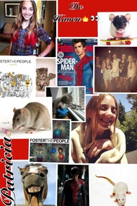 Collage