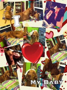 Collage