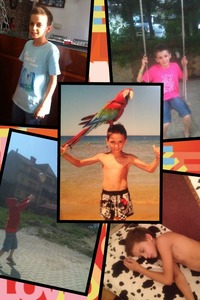 Collage