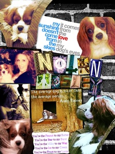 Collage