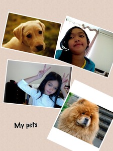 Collage