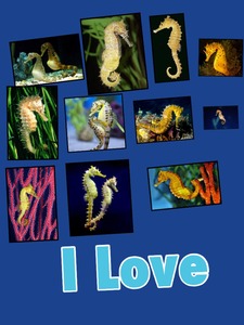 Collage