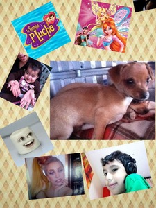 Collage