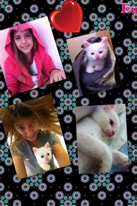 Collage