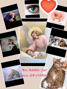 Collage