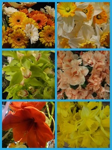 Collage