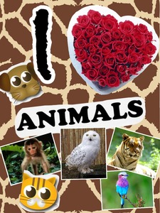 Collage
