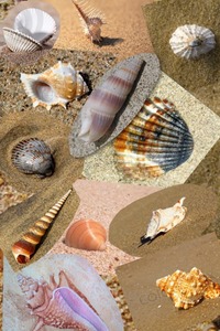 Collage