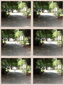 Collage