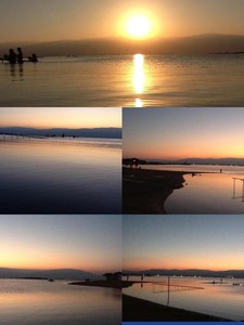 Collage