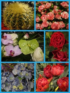 Collage