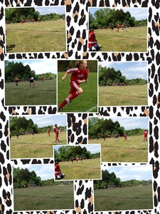 Collage